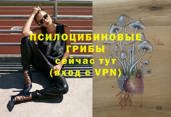 соль курить ск Армянск