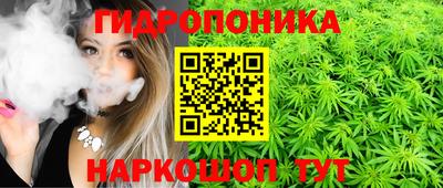 ПСИЛОЦИБИНОВЫЕ ГРИБЫ Апшеронск