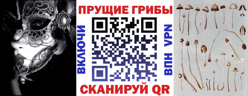 даркнет клад  дарнет шоп  Баксан  Галлюциногенные грибы MAGIC MUSHROOMS 