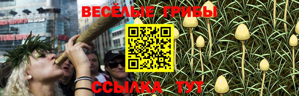 Псилоцибиновые грибы Cubensis Баксан