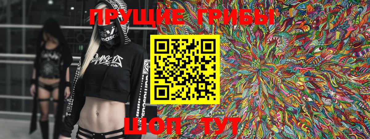 Псилоцибиновые грибы Psilocybe Баксан