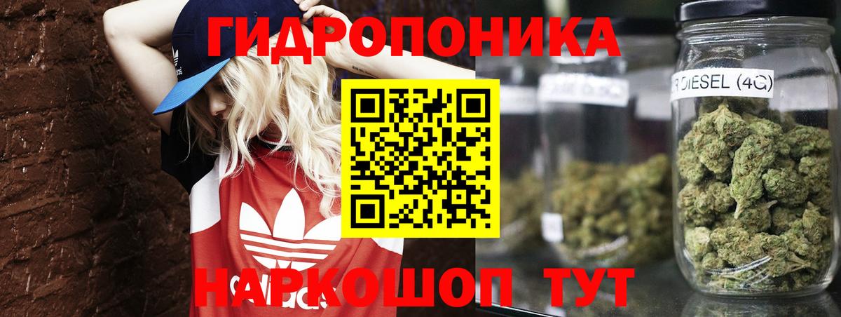 Конопля White Widow  Баксан  Конопля гибрид  МАРИХУАНА Ganja 